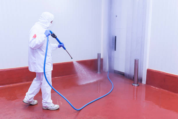 Best Patio and Deck Pressure Washing  in Ossian, IN